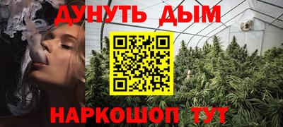 крисы Гагарин