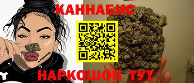 крисы Гагарин