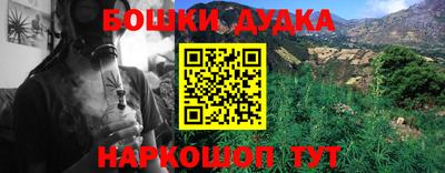 МДПВ Гай