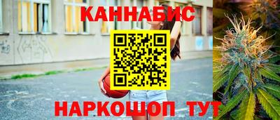 крисы Гагарин