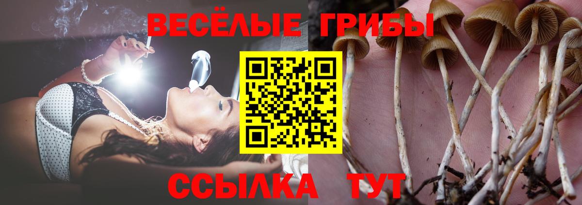 цены наркотик  Жигулёвск  Псилоцибиновые грибы прущие грибы 