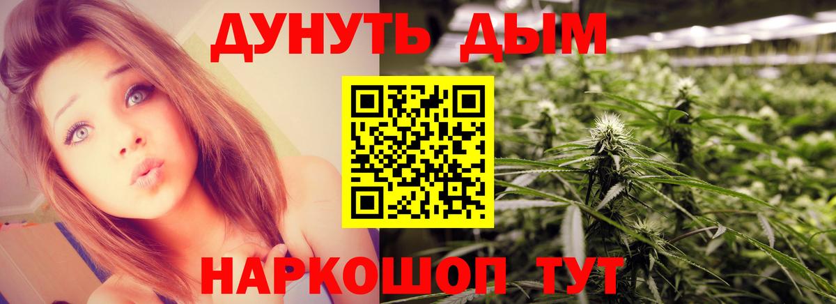 Шишки марихуана план Жигулёвск